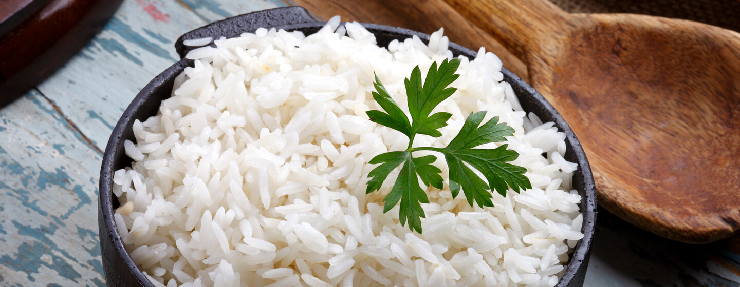 Is raw rice bad for dogs best sale